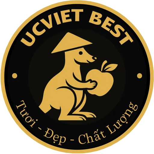 UcViet Best
