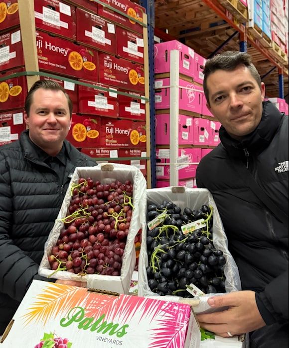 Representatives of PWTC and UcViet Best in a cold store with open cartons of red and black Australian table grapes